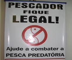 LEIS QUE REGEM O MERGULHO LIVRE  E  A PESCA SUBMARINA 